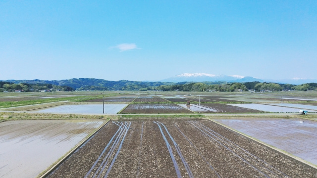 農地を売却するにはどうしたら良い？売りづらい理由や売却方法を解説