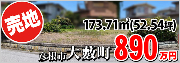 大薮町 890万円